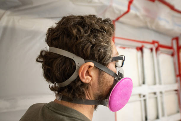 Best Mold Damage Restoration  in Marina Del Rey, CA